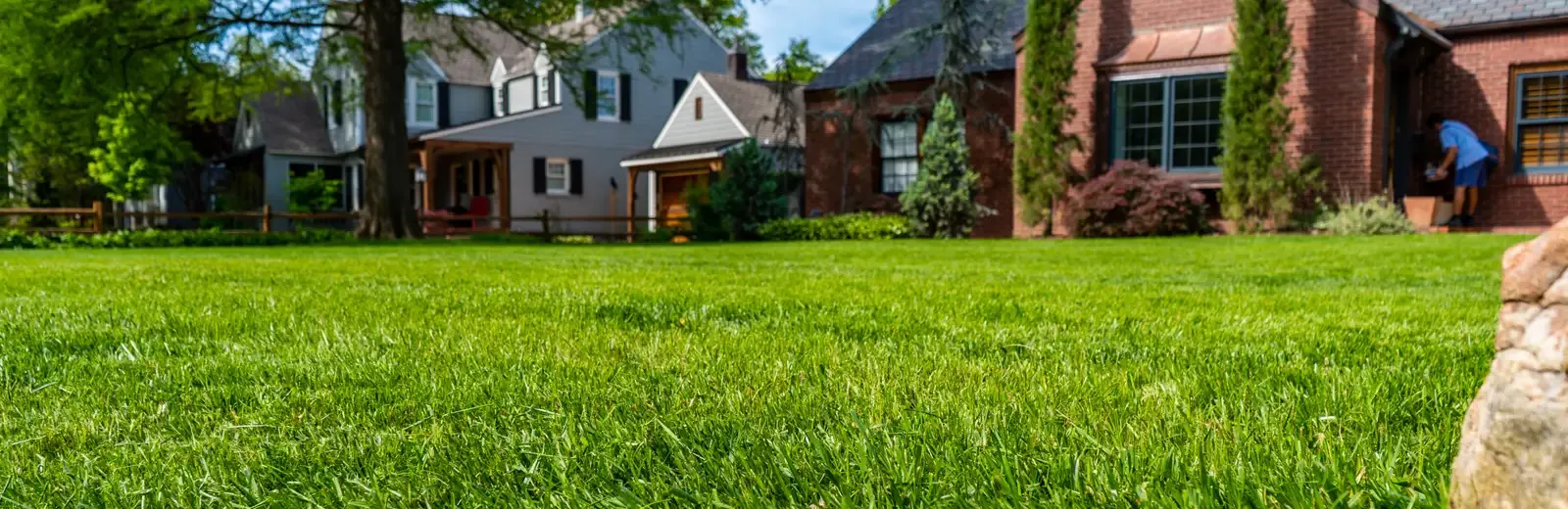 healthy green lawn in front of brick home