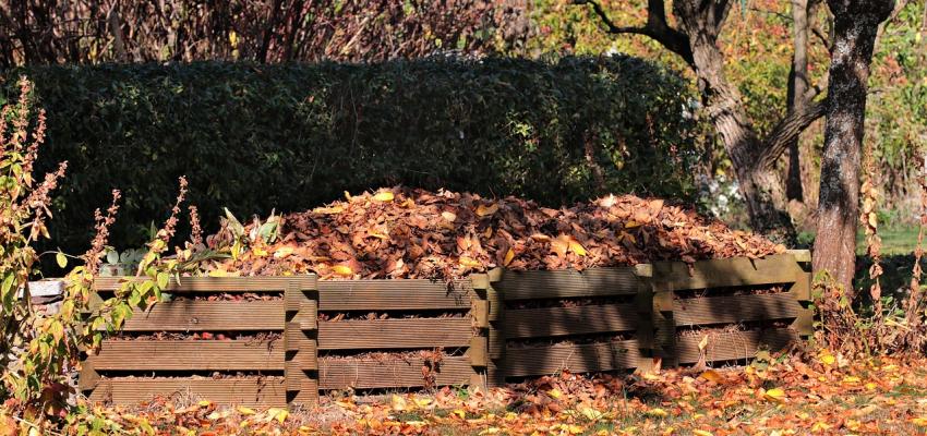A compost bin full of fall leaves