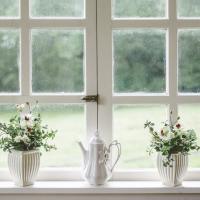 White window looking out at yard