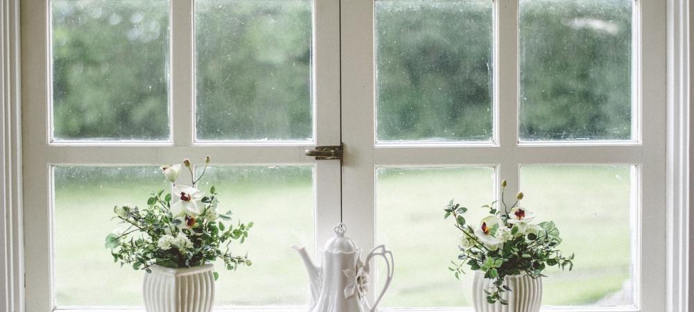 White window looking out at yard